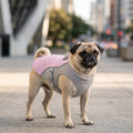 ChillPaws™ Cooling Vest-Pink