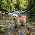 ChillPaws™ Cooling Vest-Orange